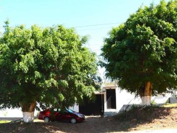 ¡A Pie de Carretera! Propiedad en VENTA en Don Ventura: 1750 m² con Horno y arboles frutales