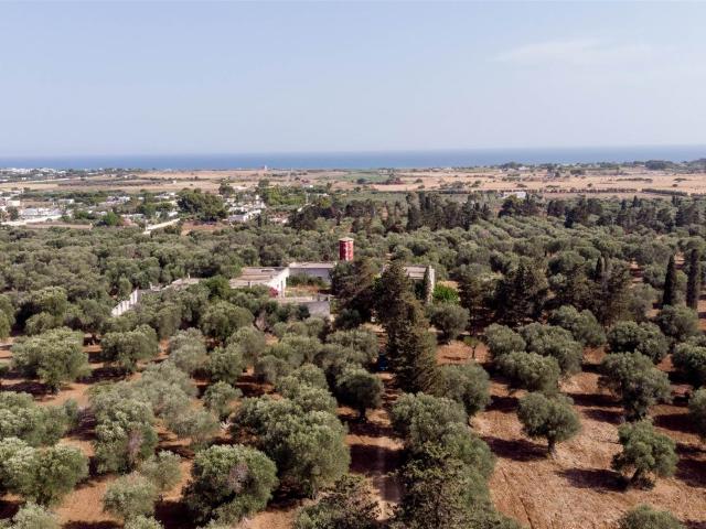 A pochi passi dalle acque cristalline della costa ionica, ne. 2200m² Maruggio