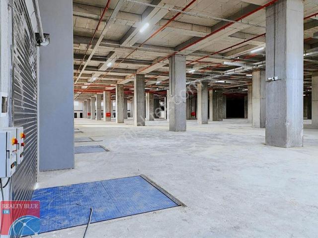 Çağrı Horasan'dan Gebze'de 6000 M2 Kiralık Boş Depo/antrepo