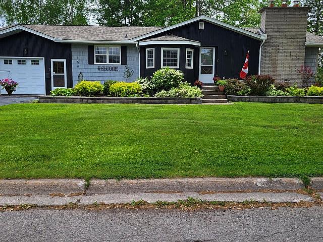 A Rare Find In The P patch! Check Out 164 Palace Drive, Ssm!
