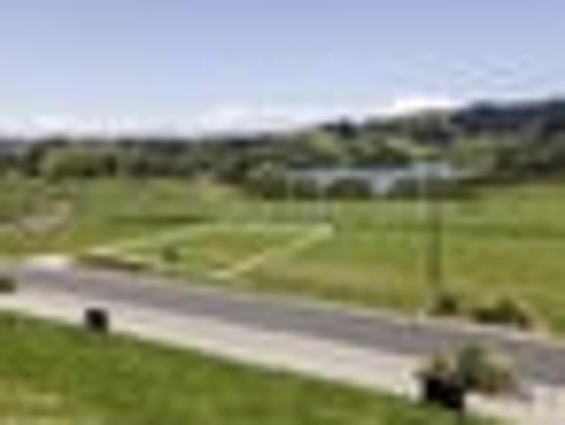 A Rare find in Rangitahi