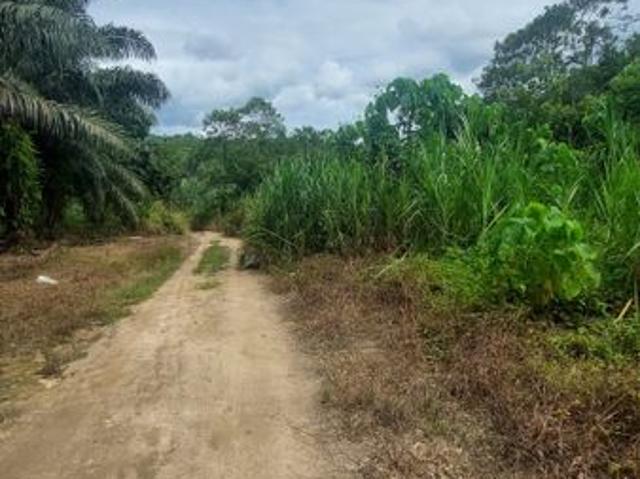 A rare opportunity land with a good price