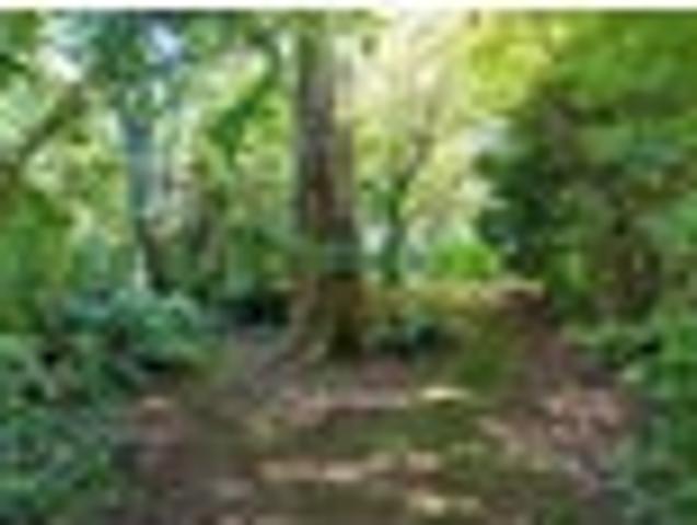 A RESIDENTIAL GARDENERS TREE LOVERS PARADISE
