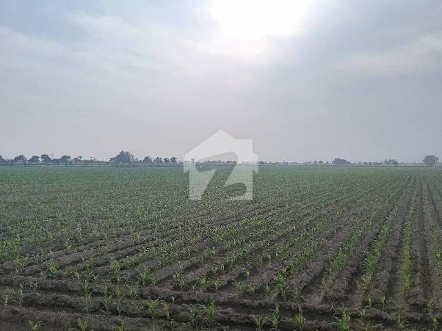 A Stunning Agricultural Land Is Up For Grabs In Adda Bosan