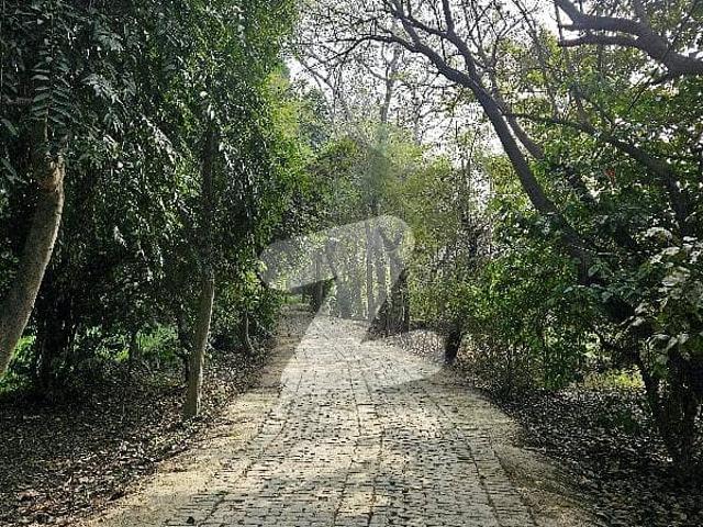 A Stunning Farm House Plot Is Now Available For Sale
