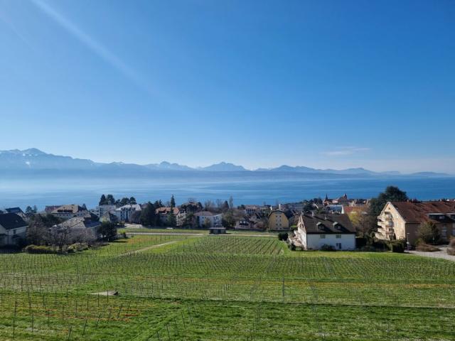 A saisir à Pully, Charmant 4,5 pièces avec une vue magnifique