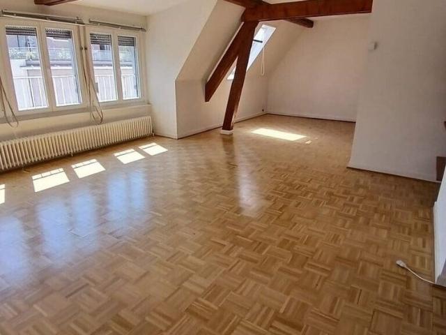 A saisir ! Charmant appartement à louer au coeur de Plainpalais !