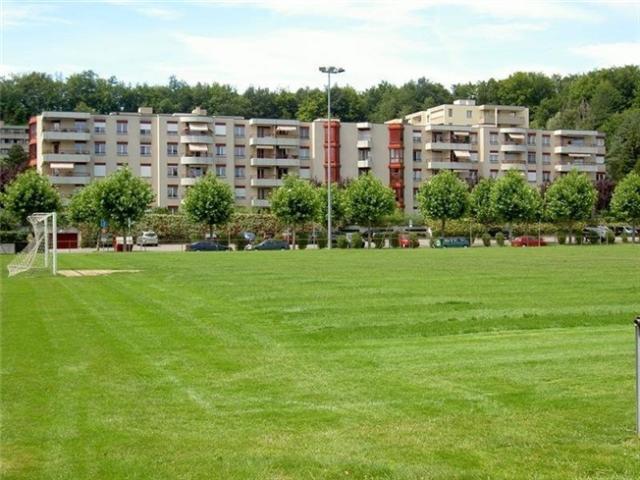 A saisir Magnifique logement à Ecublens
