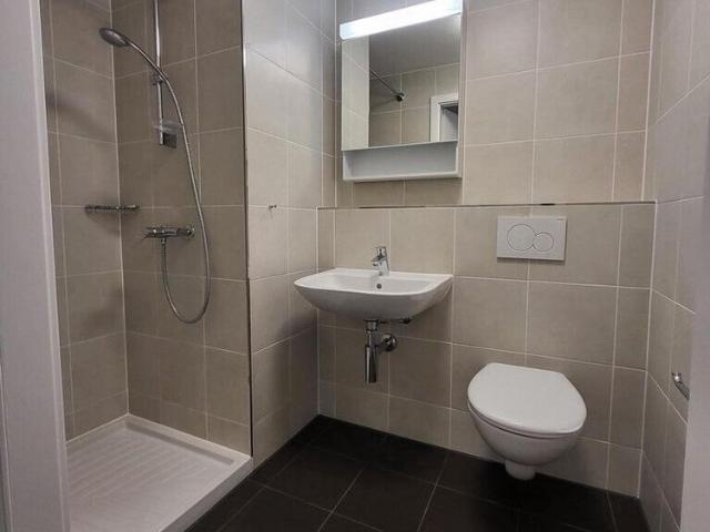 Apartment with 1.5 rooms for rent in Fribourg 20 m²