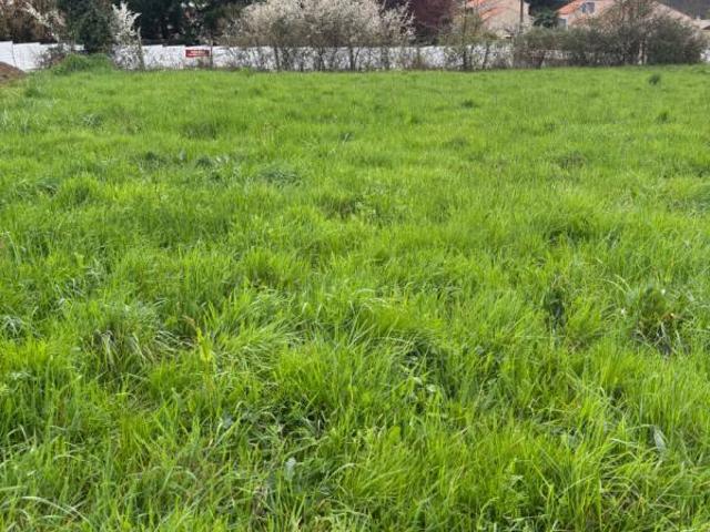 A SAISIR OUDON TERRAIN CONSTRUCTIBLE