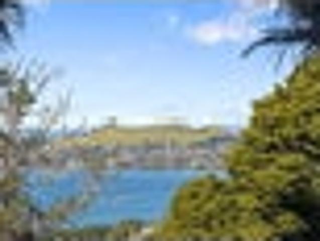 A slice of Titirangi nestled in Hillsborough