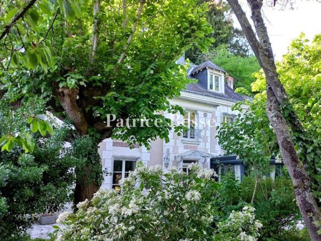 À Tours, sur la rive nord de la Loire, une propriété avec pi. 225m² Tours