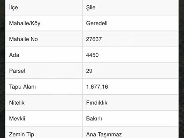Ağva Geredeli Bakırlı Mevkiinde Satılık Fındıklık