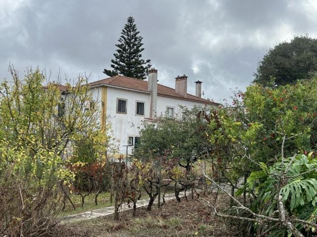 à venda Mansão, Torres Vedras, Portugal