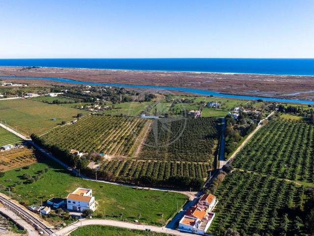 à venda Mansão de 366 m2, Tavira, Faro
