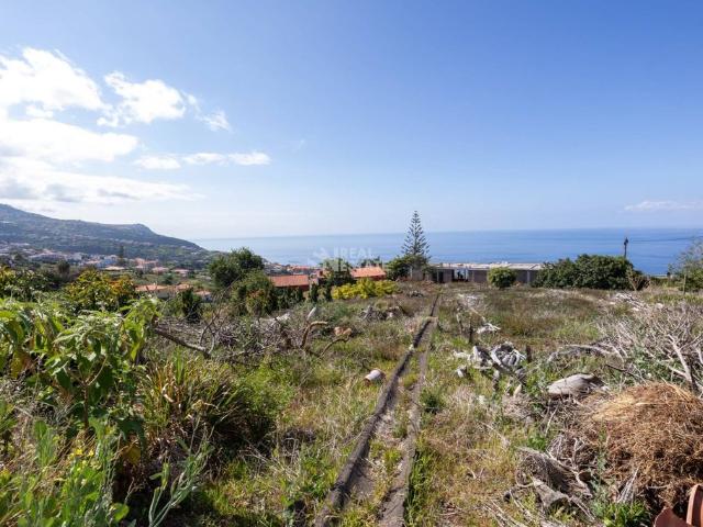 à venda Mansão de alto padrão, Calheta, Madeira