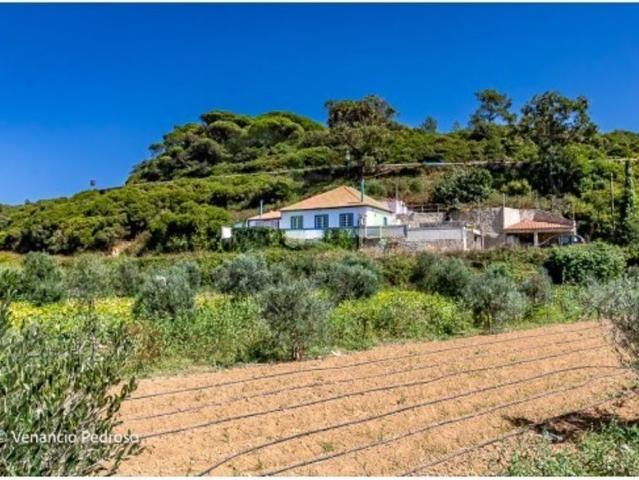 à venda Mansão, Ericeira, Portugal