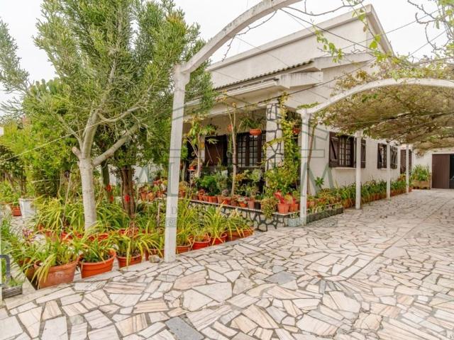 à venda Casa de 241 m2, Charneca de Caparica, Portugal