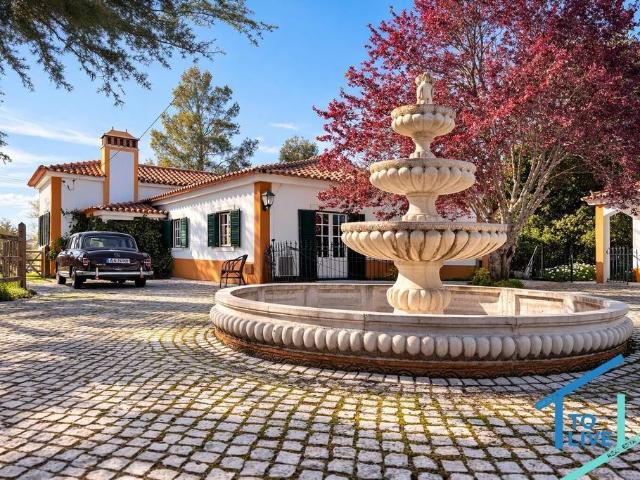à venda Casa de 345 m2, Tomar, Portugal