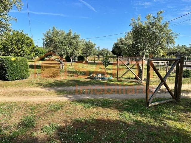 à venda Casa de campo, Abrantes, Portugal