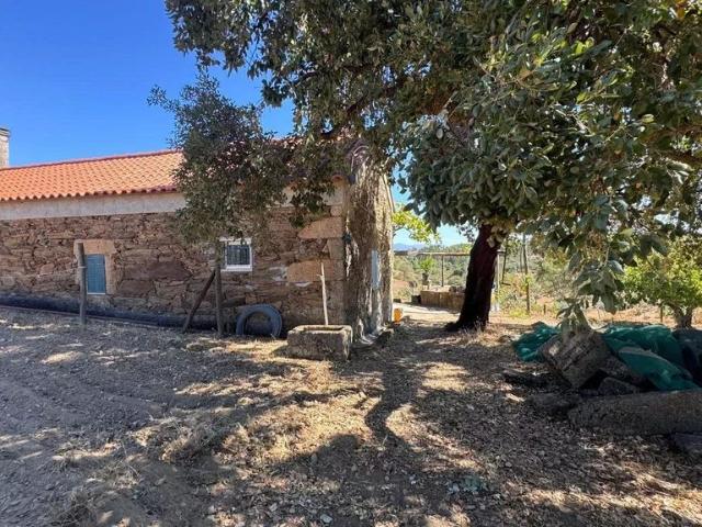 à venda Casa de campo, Aranhas, Portugal