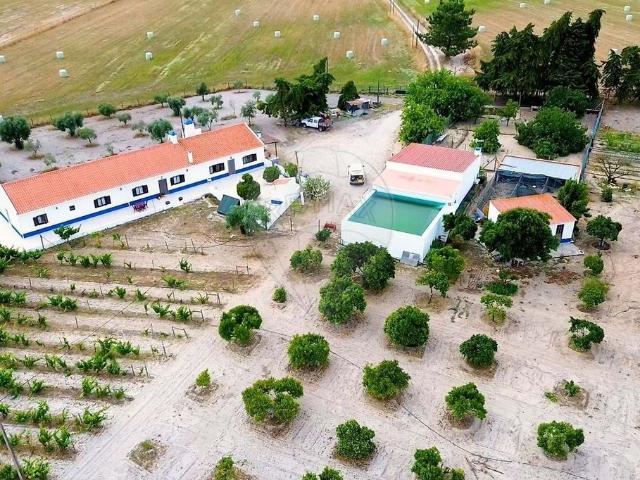 à venda Casa de campo, Grândola, Portugal