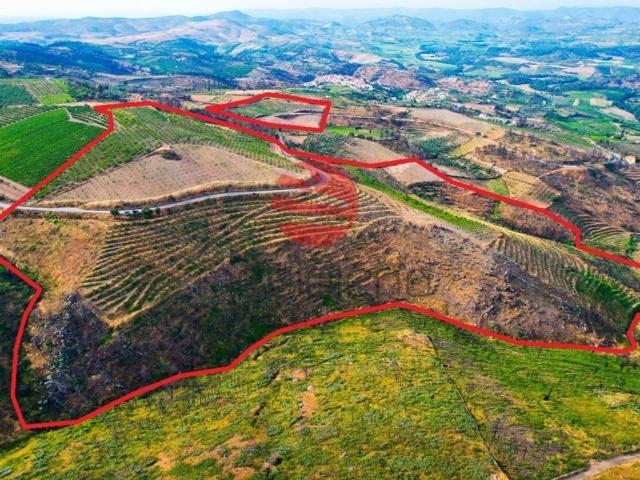 à venda Casa de campo de alto padrão de 281139 m2, Vila Nova de Foz Côa, Guarda