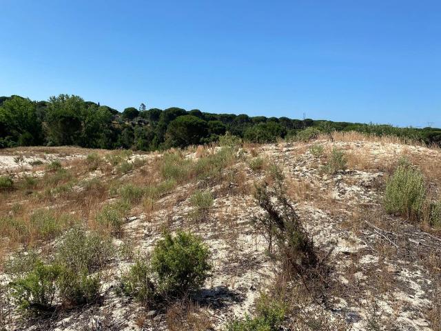 à venda Casa de campo de alto padrão de 500 m2 Grândola, Setúbal