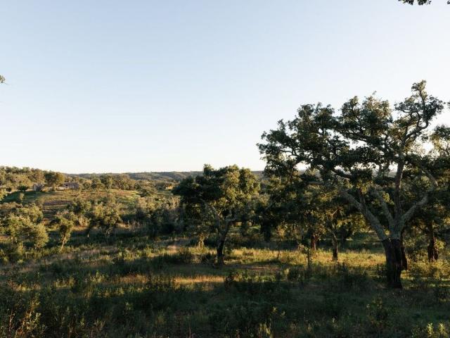 à venda Casa de campo de alto padrão de 6000 m2 Melides, Portugal