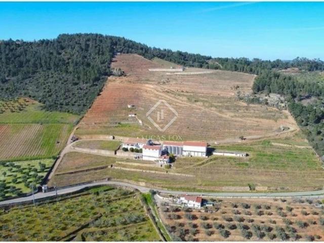 à venda Casa de campo de alto padrão Vila Flor, Bragança