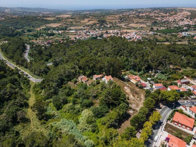 à venda Casa de campo de alto padrão, S.Maria e S.Miguel, S.Martinho, S.Pedro Penaferrim, Sintra, Lisboa