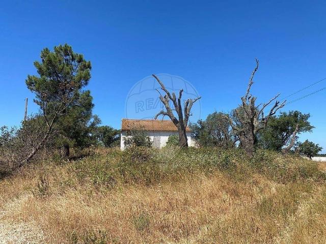à venda Casa de campo de alto padrão, Pinhal Novo, Setúbal