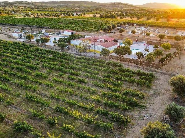 à venda Casa de campo, Vila de Frades, Beja