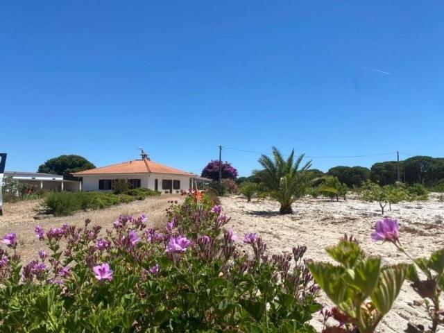 à venda Casa de alto padrão, Alcácer do Sal, Portugal