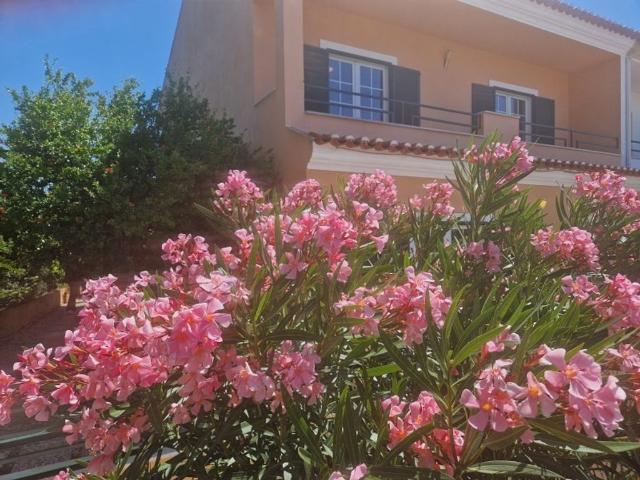 à venda Casa Exclusiva de 240 m2, Setúbal, Portugal