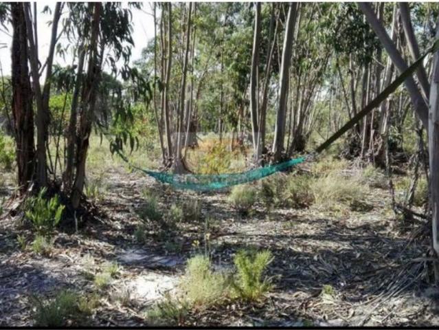 à venda Exclusiva casa de campo de 40 m2, Praia da Gale, Grândola, Setúbal
