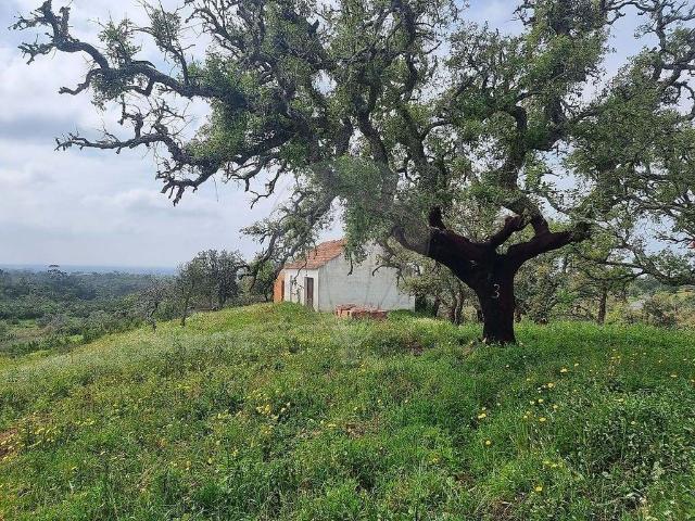 à venda Exclusiva casa de campo de 53 m2, São Francisco da Serra, Portugal