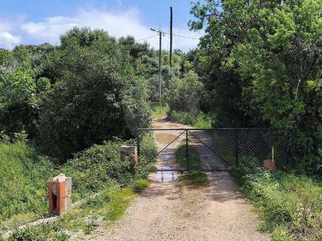 à venda Exclusiva casa de campo, Estômbar e Parchal, Portugal