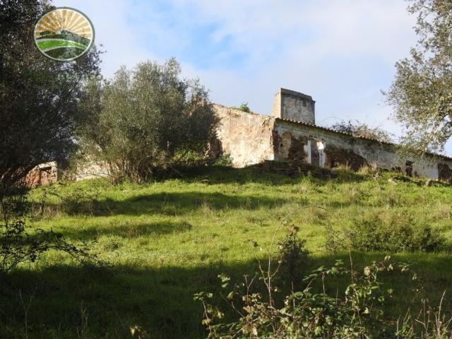 à venda Casa de campo de alto padrão de 135 m2, Tanganhal, Grândola, Setúbal