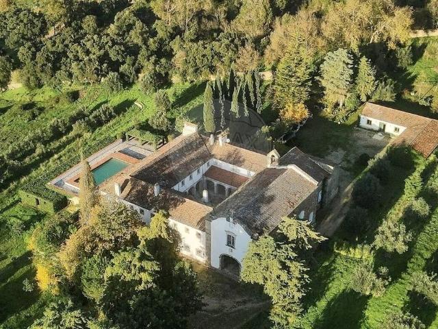 à venda Mansão alto padrão de 1726 m2, Chamusca, Portugal