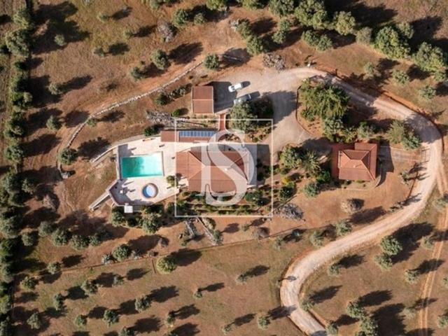 à venda Fazenda Cabeço de Vide, Portalegre
