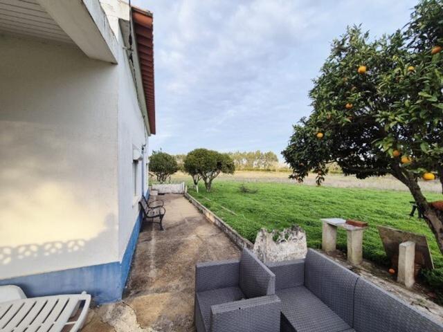 à venda Fazenda Cercal, Setúbal