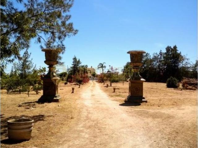 à venda Fazenda Alporchinhos, Lagoa, Faro