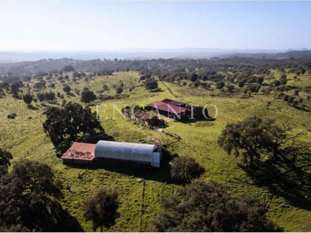 à venda Fazenda de 1000 m2 Odemira, Beja