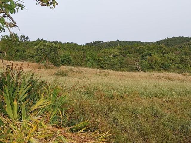 à venda Fazenda de 126 m2 Odemira, Beja