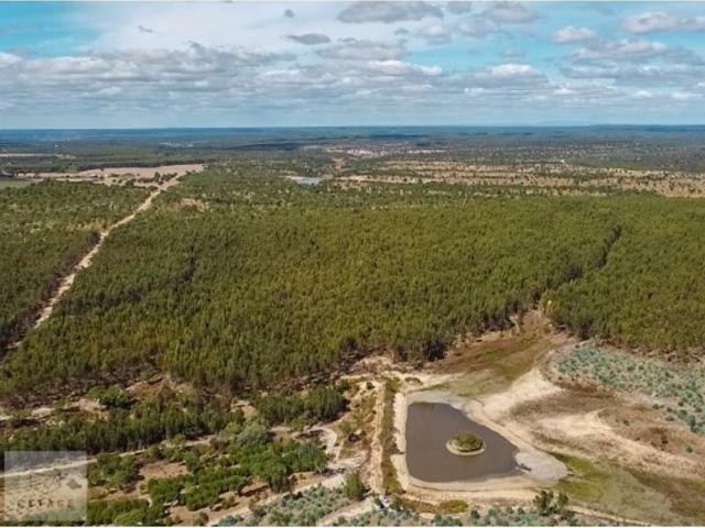 à venda Fazenda de 1680000 m2 Ponte de Sôr, Portugal