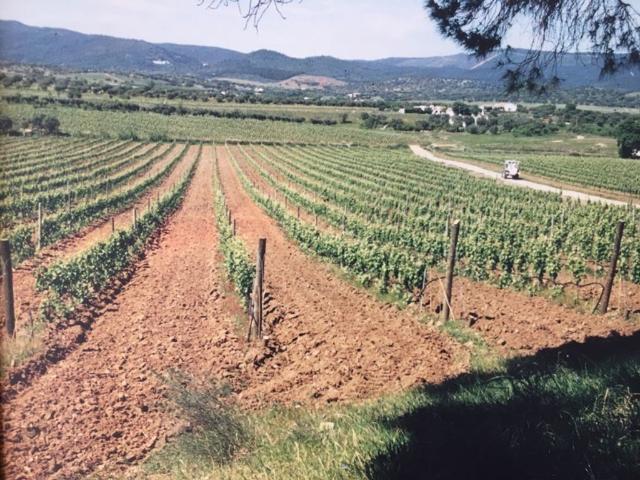 à venda Fazenda de 163 m2 Vila de Redondo, Redondo, Évora
