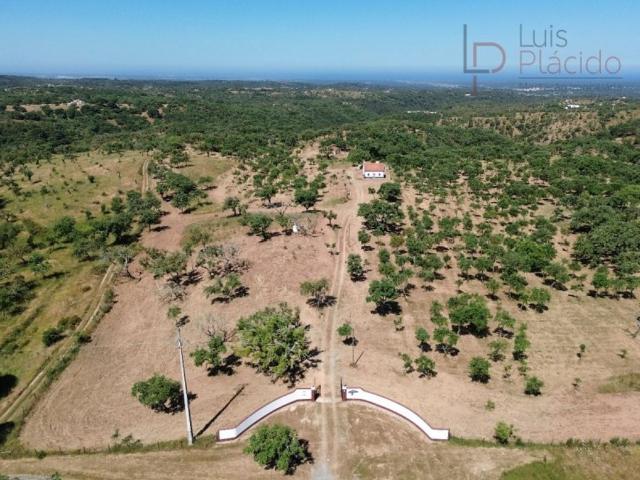 à venda Fazenda de 204 m2 Estrada da Boavista, Grândola, Setúbal