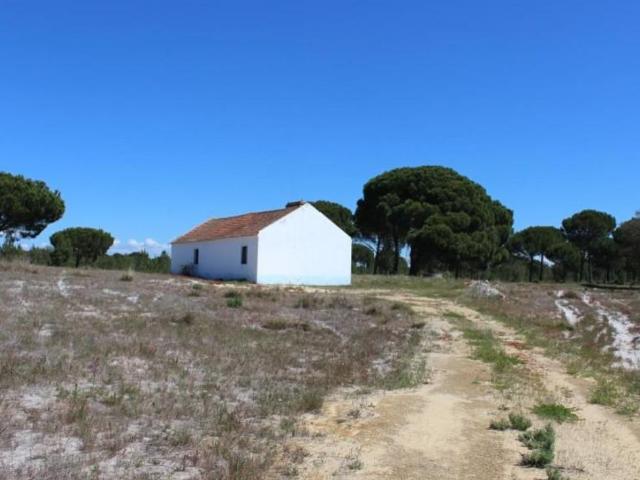 à venda Fazenda de 250000 m2 Grândola, Portugal