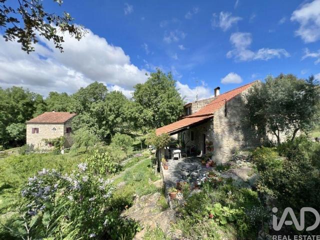 à venda Fazenda de 288 m2 Alcains, Portugal